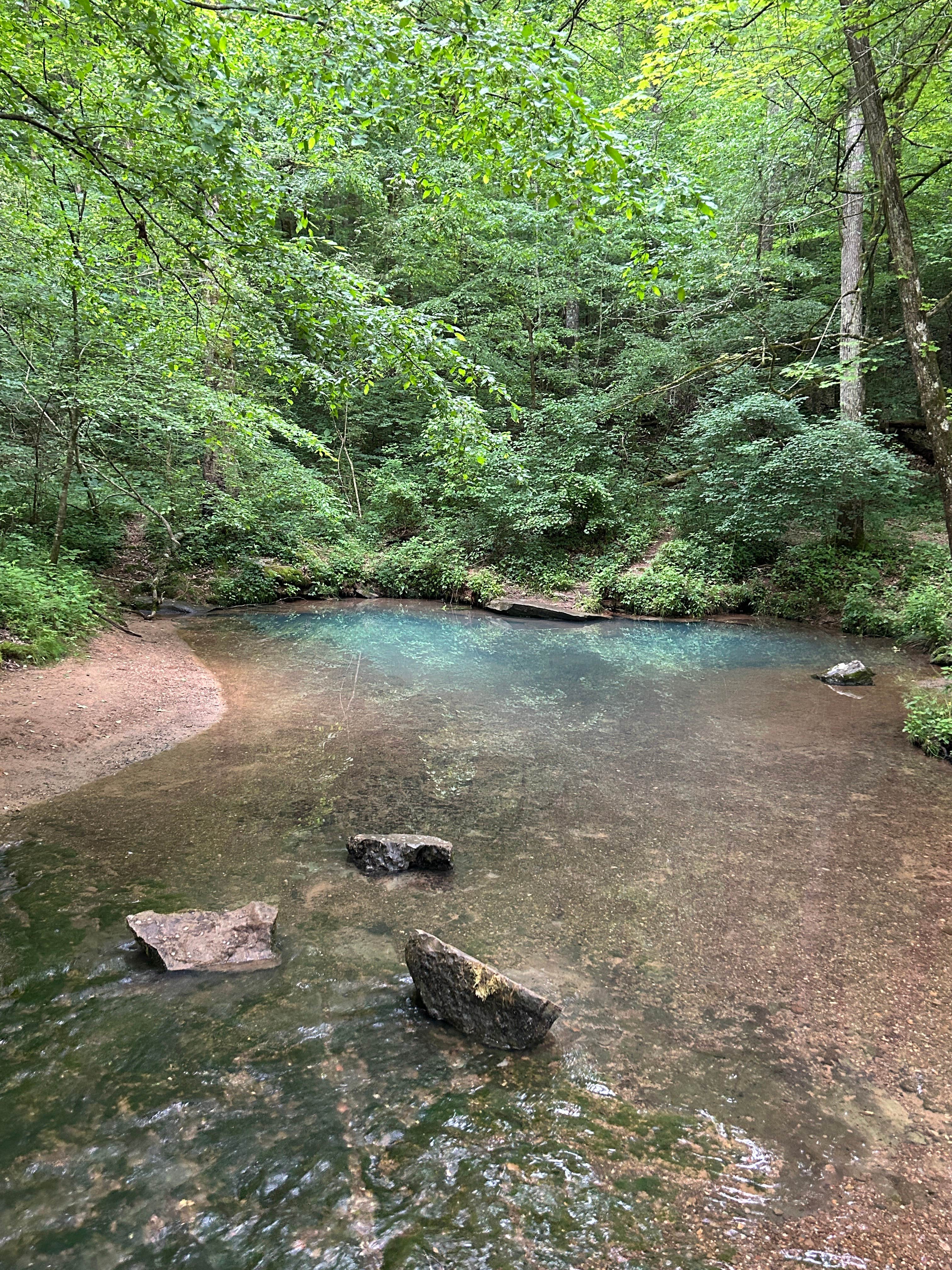 Camper-submitted photo at Blue Hole Dispersed- Crockford-Pigeon Mountain WMA near Rising Fawn, GA