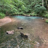 Review photo of Blue Hole Dispersed- Crockford-Pigeon Mountain WMA by Ava R., May 13, 2023