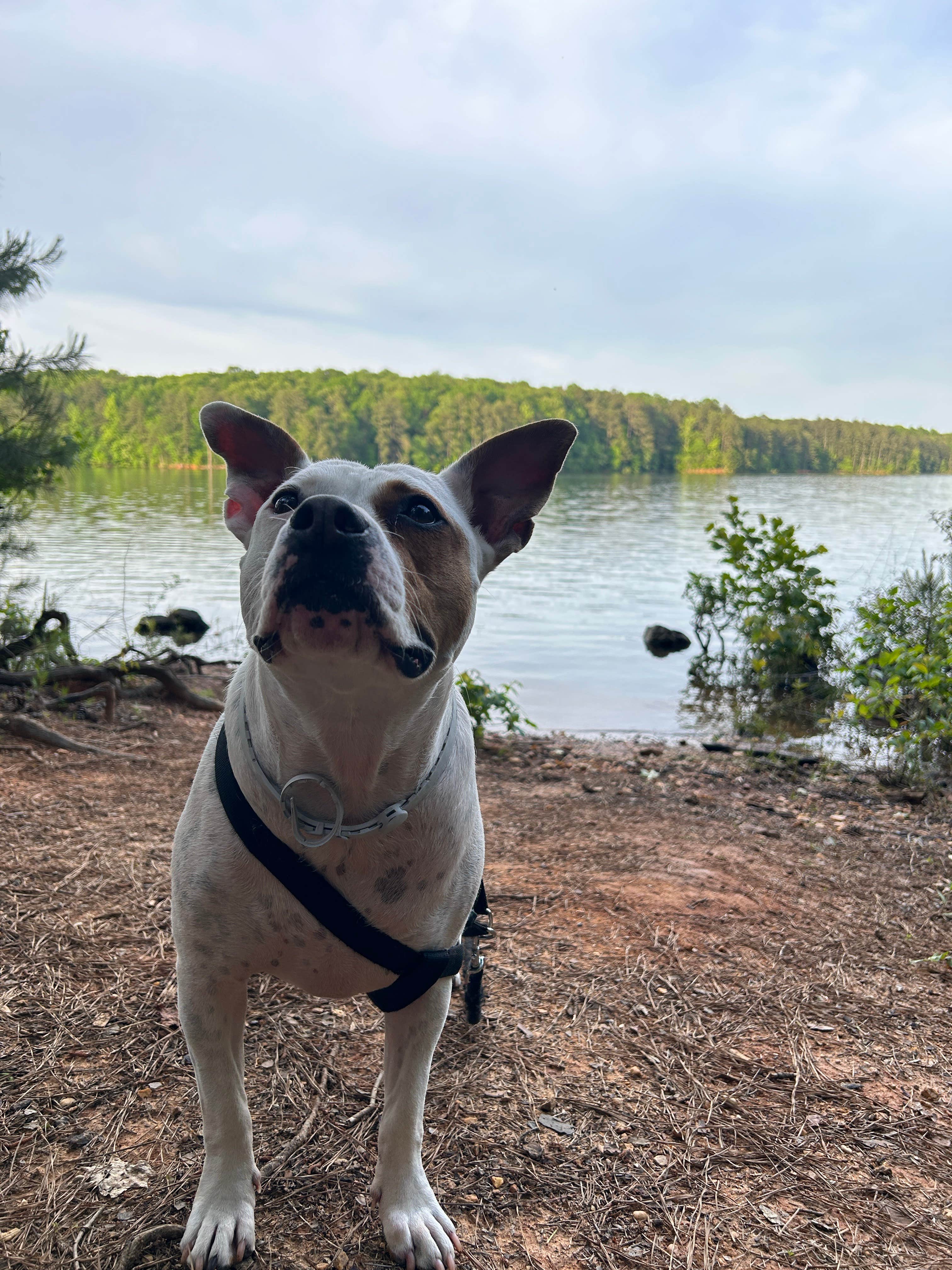 Camper-submitted photo at Clark Creek South Campground near Kennesaw, GA