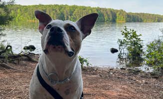 Ava R.'s photo of camping with pets at Clark Creek South Campground near Dallas, GA