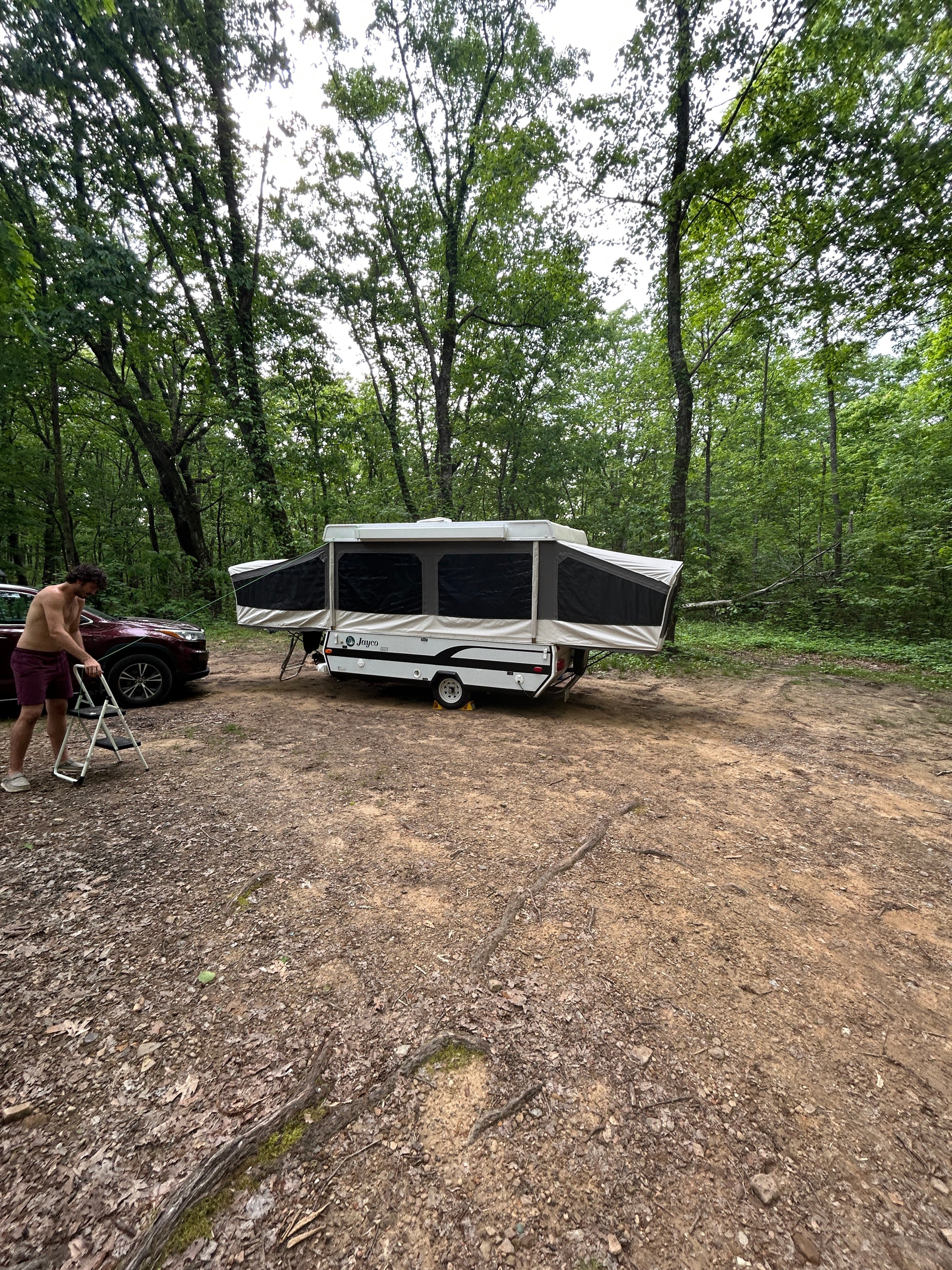 Camper submitted image from Prentice Cooper State Forest Camp - 1