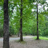 Review photo of Prentice Cooper State Forest Camp by Ava R., May 13, 2023