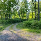 Review photo of Worthington State Forest Campground — Delaware Water Gap National Recreation Area by Jonathan L., May 13, 2023