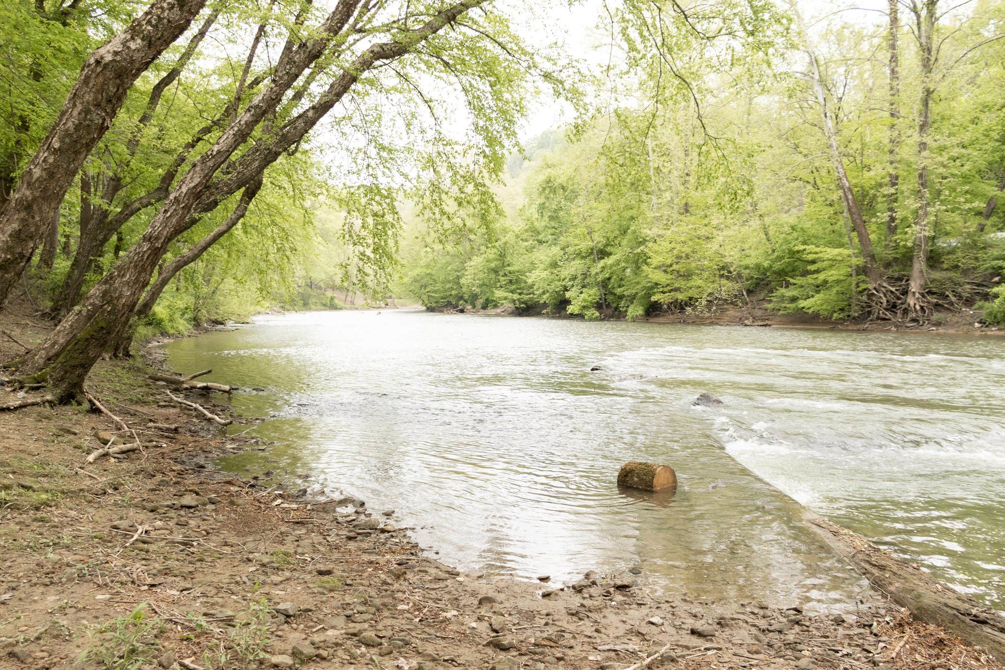 Camper-submitted photo at Riverside R&R near Chapmanville, WV