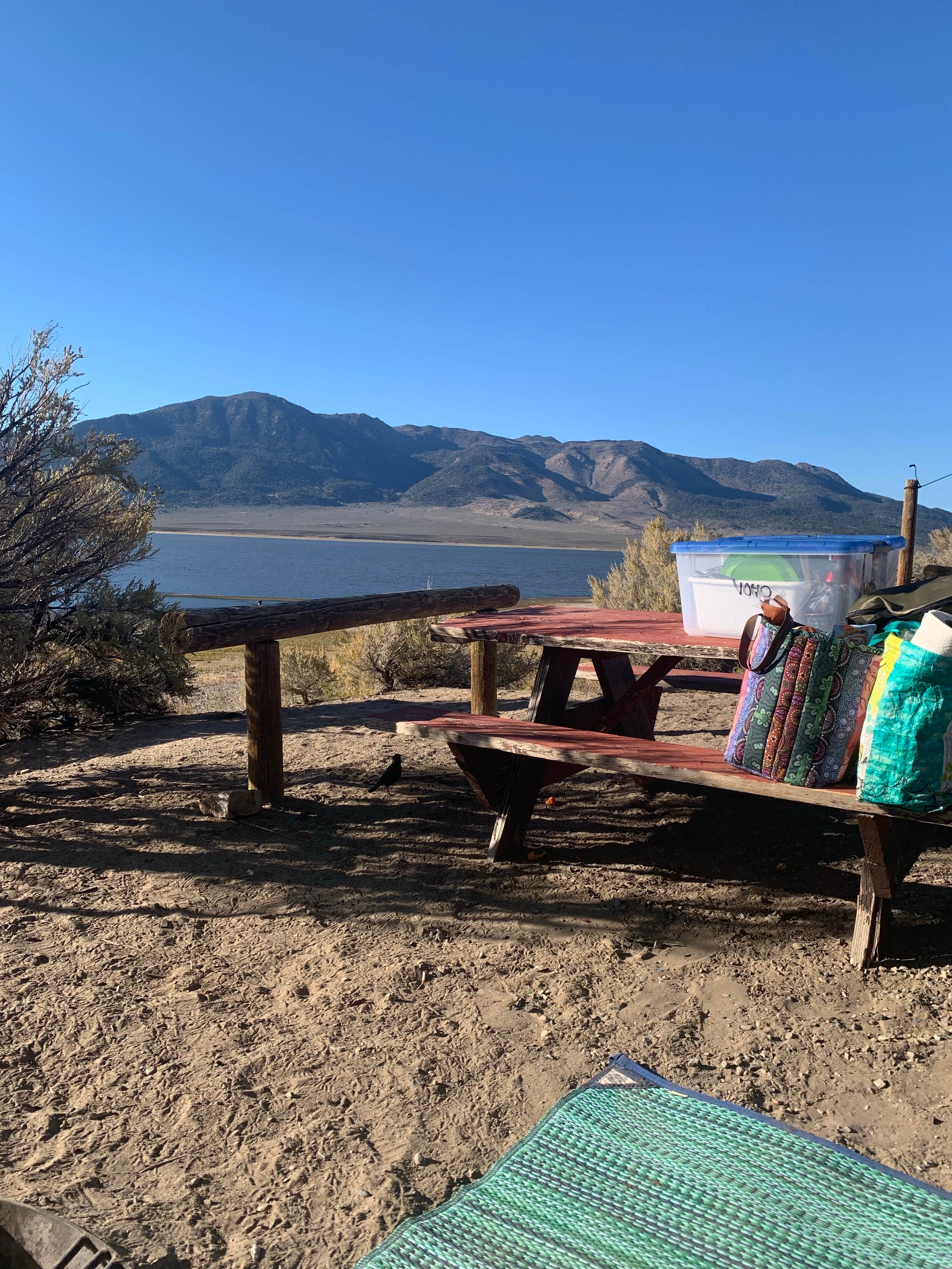 Camper submitted image from Bridgeport Marina RV Park - 5
