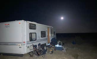 Delilah S.'s photo at Mila’s Pet Festival near Randsburg, CA