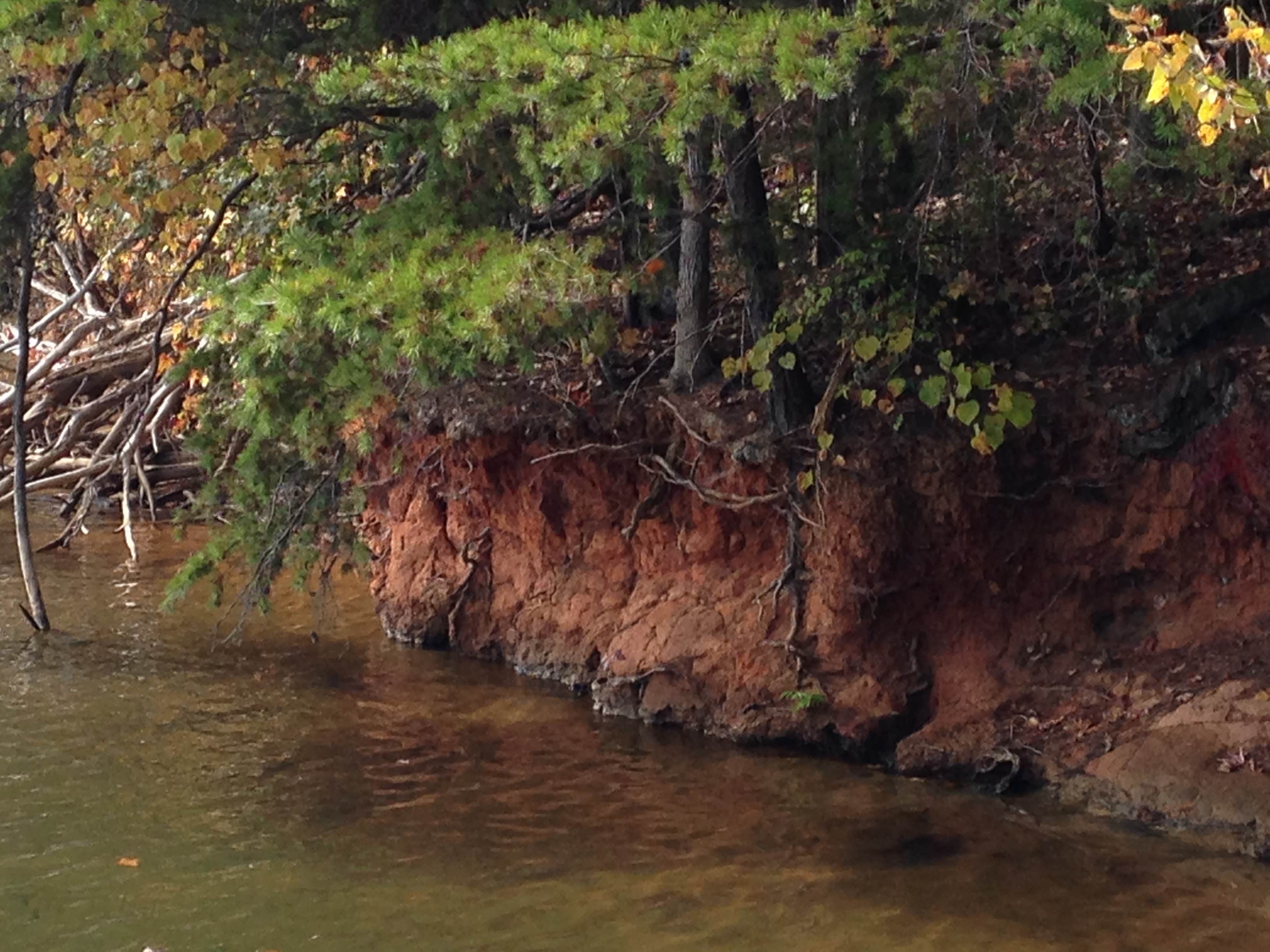 Camper-submitted photo at Copperhead Island near Waxhaw, NC