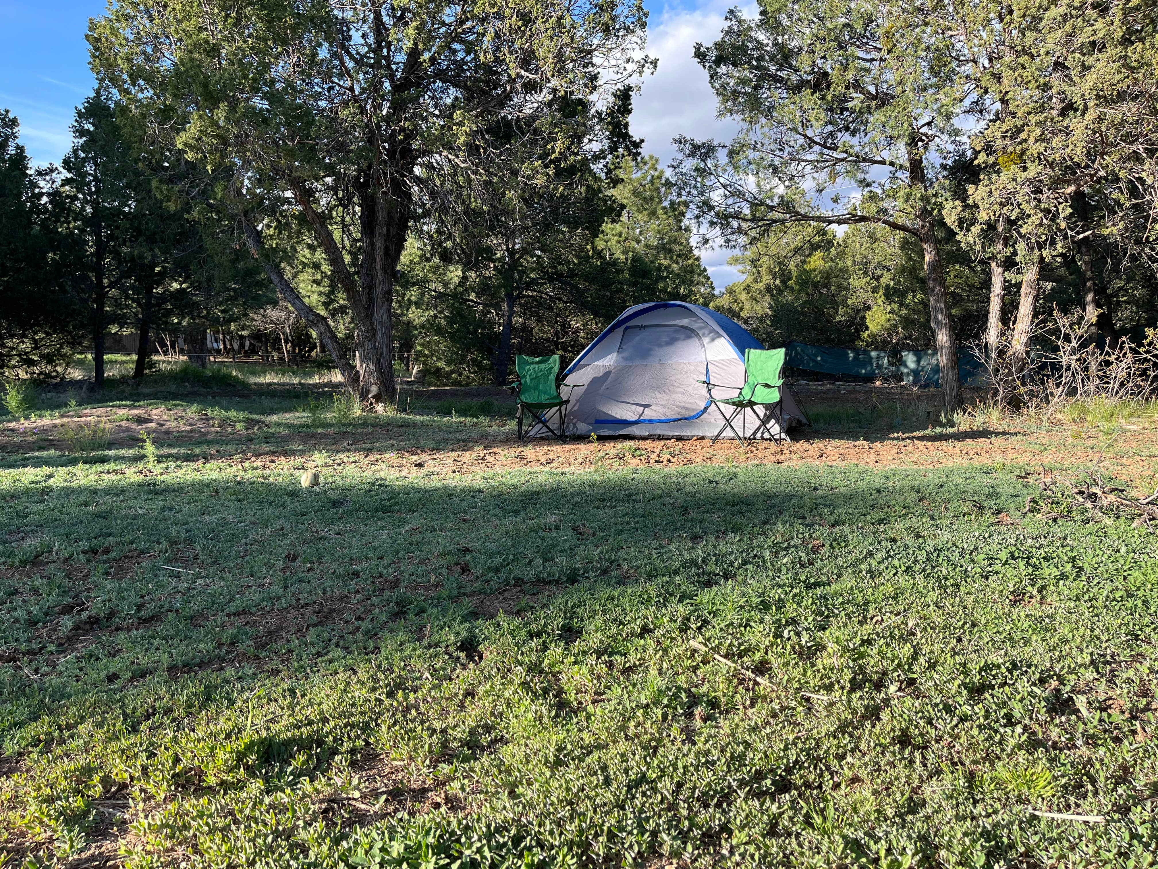 Camper submitted image from Ponderosa Pines Basecamp - 2