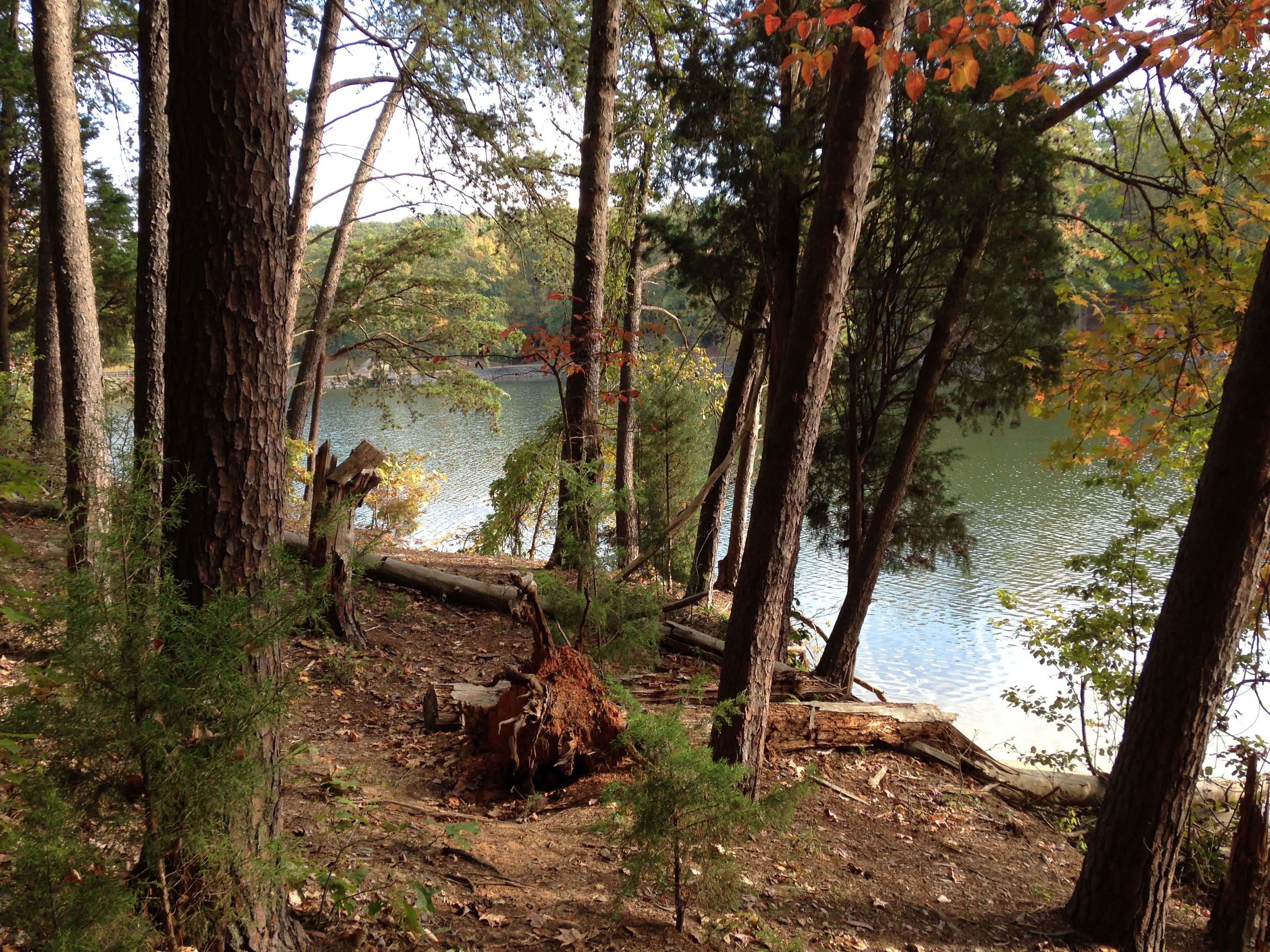 Camper-submitted photo at Copperhead Island near Waxhaw, NC