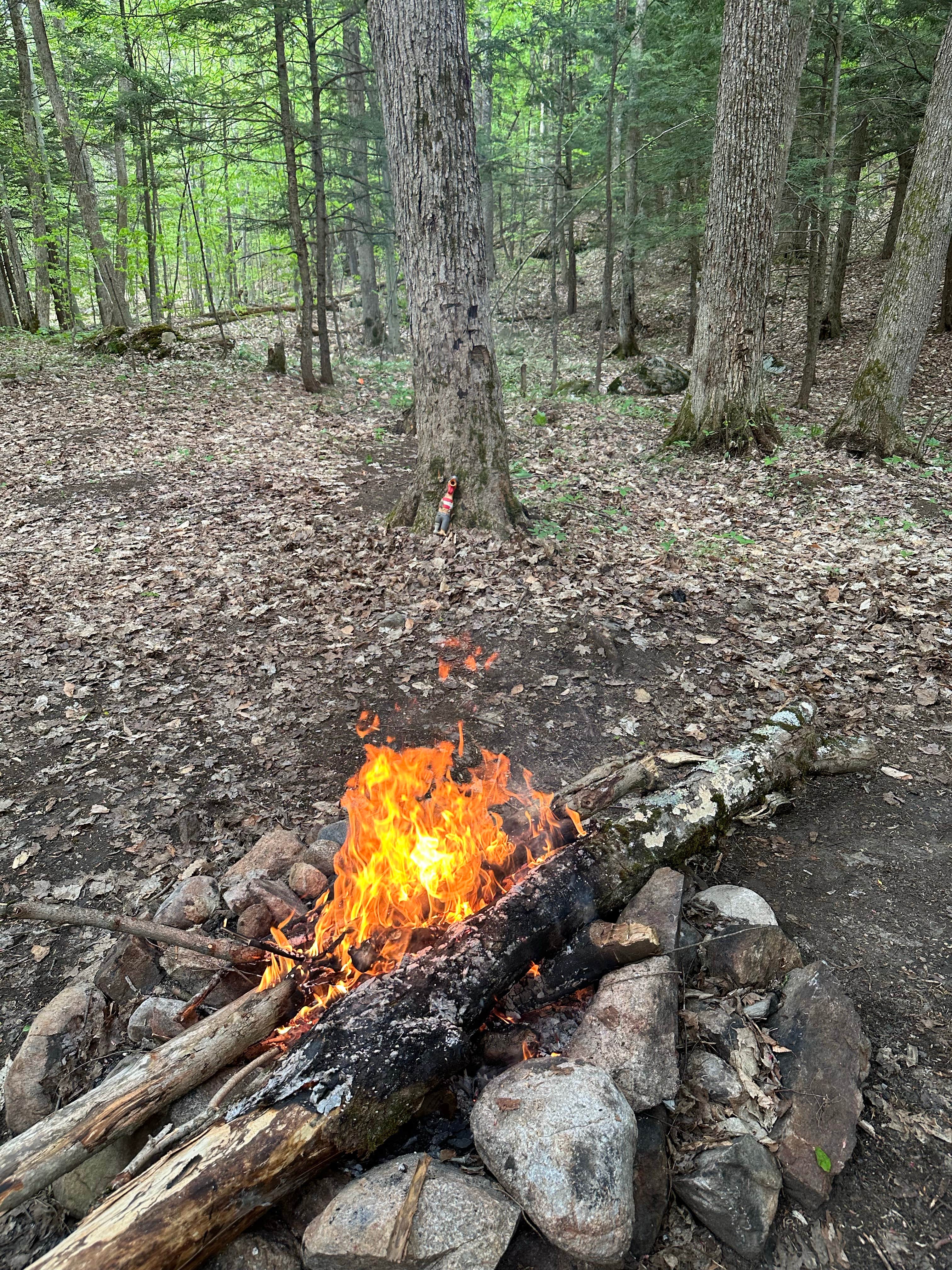 Camper-submitted photo at Green Pond - Bonaparte State Forest near Great Bend, NY