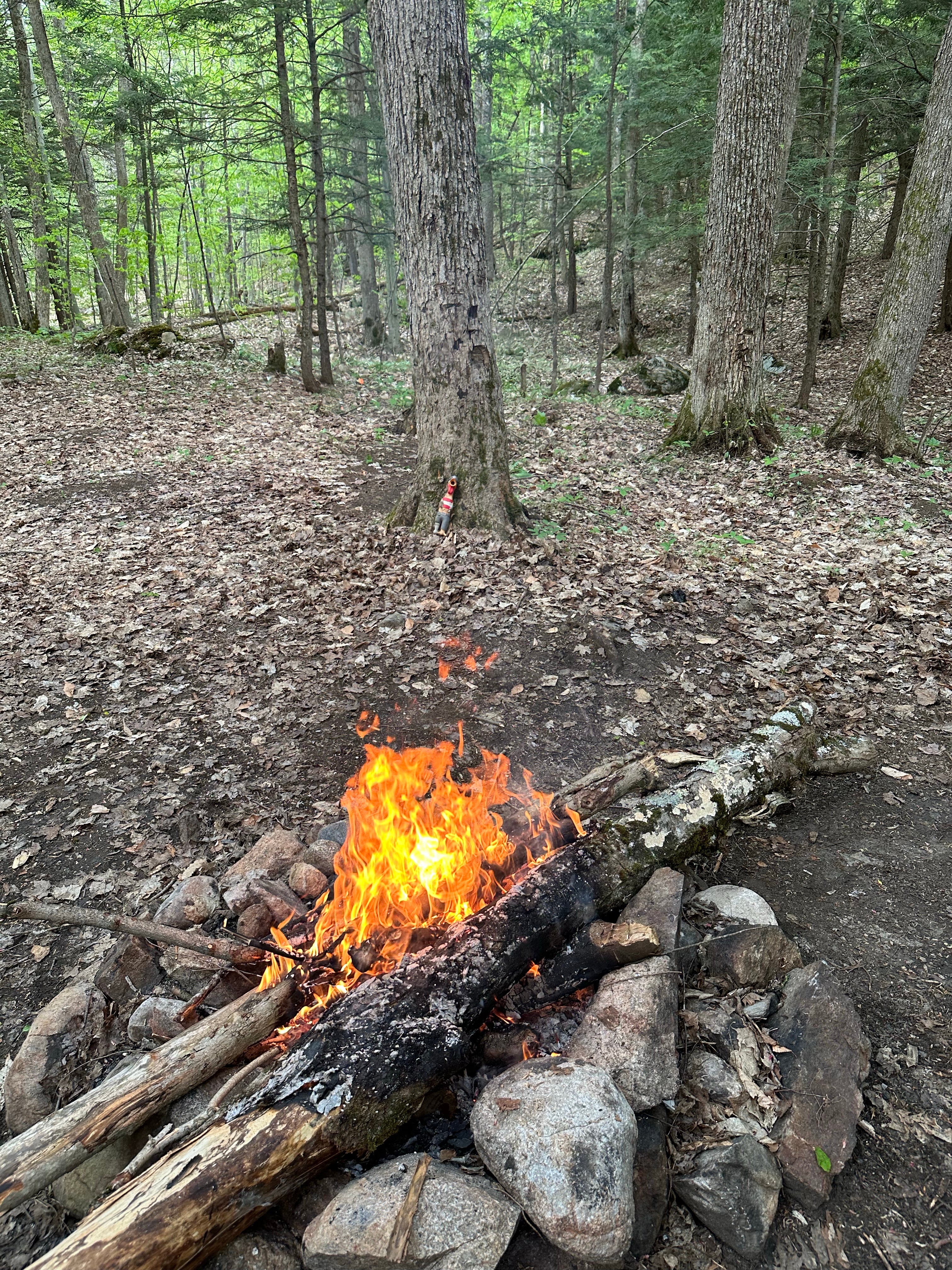 Camper submitted image from Green Pond - Bonaparte State Forest - 4