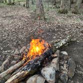 Review photo of Green Pond - Bonaparte State Forest by sam T., May 14, 2023