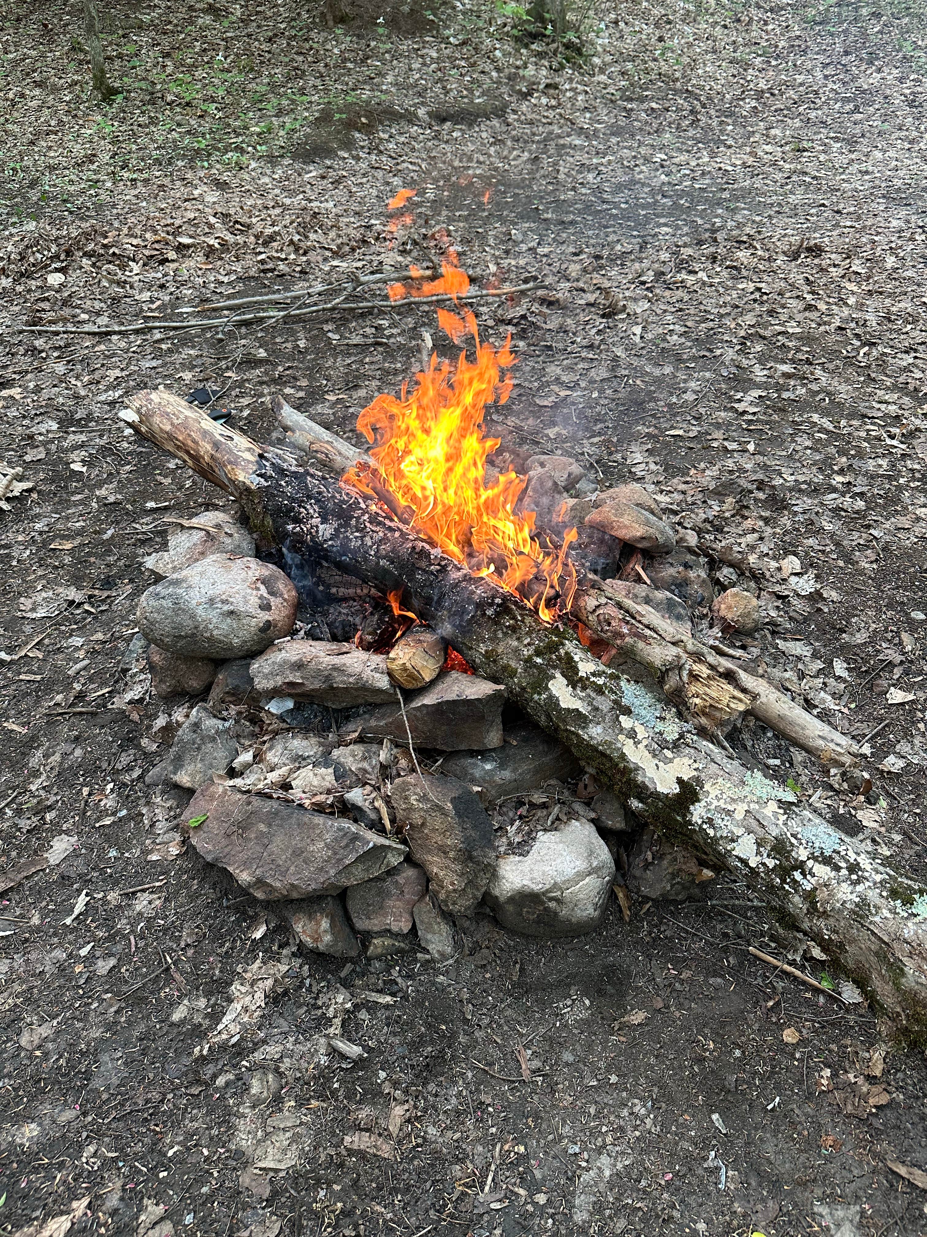 Camper submitted image from Green Pond - Bonaparte State Forest - 1