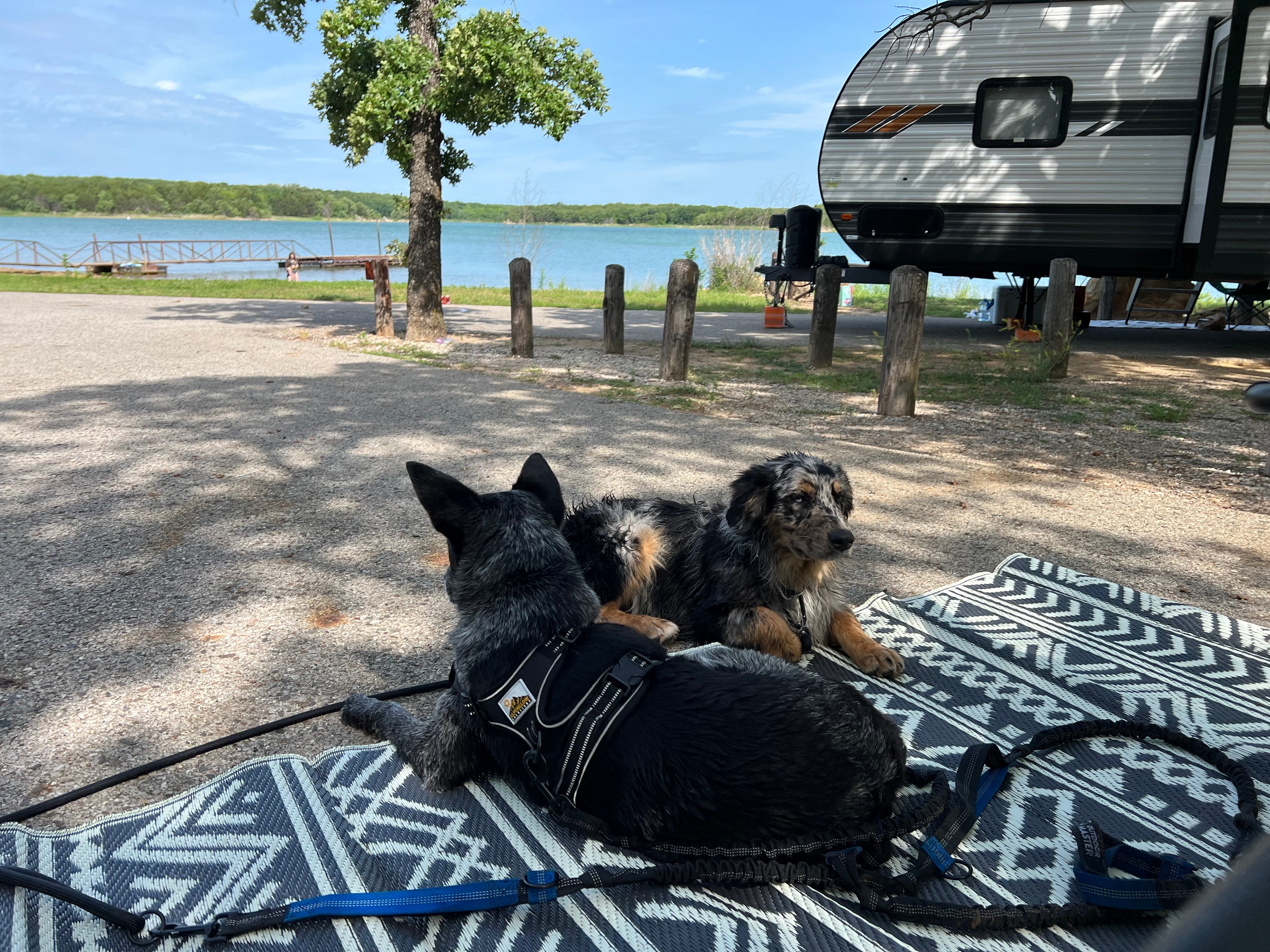 Camper submitted image from Cedar Grove Campground — Lake Murray State Park - 1
