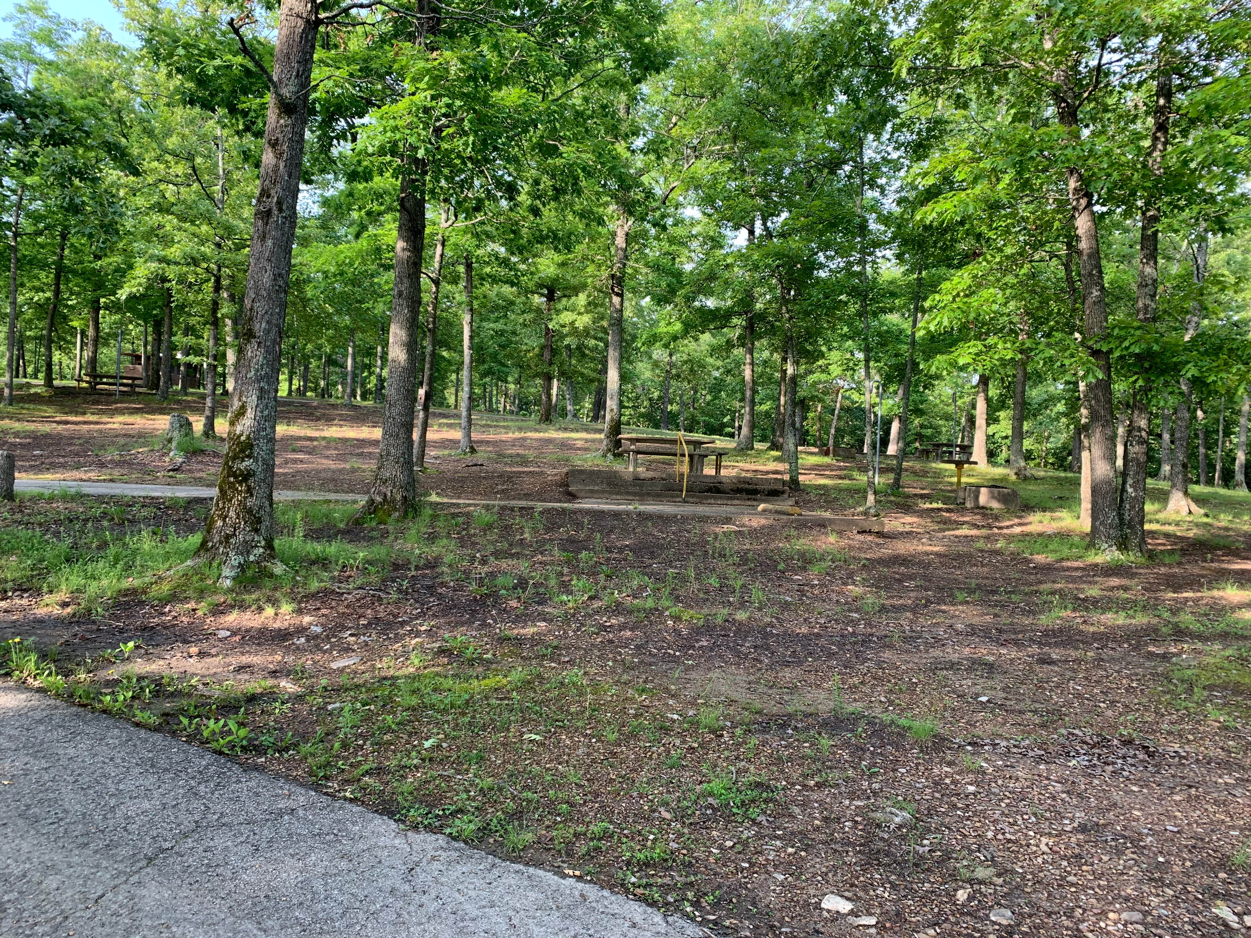 Camper-submitted photo at Point Return City Park near Lakeview, AR