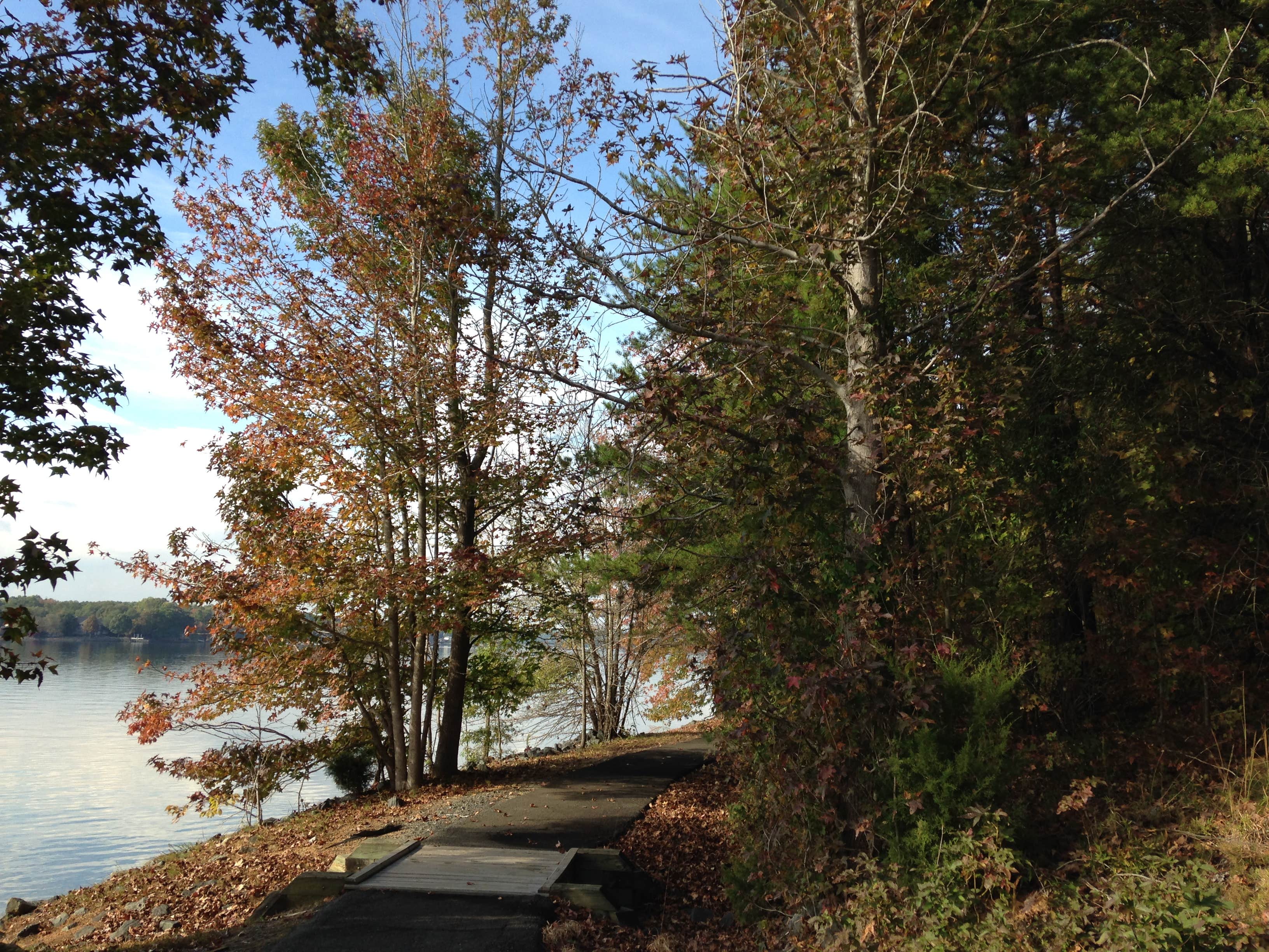 Camper-submitted photo at Copperhead Island near Waxhaw, NC