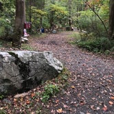 Review photo of Boulder Woods Campground by melissa S., October 10, 2018