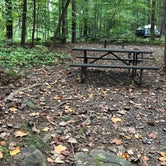 Review photo of Boulder Woods Campground by melissa S., October 10, 2018