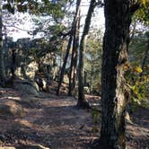 Review photo of Crowders Mountain State Park Campground by Janet R., October 10, 2018