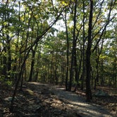 Review photo of Crowders Mountain State Park Campground by Janet R., October 10, 2018