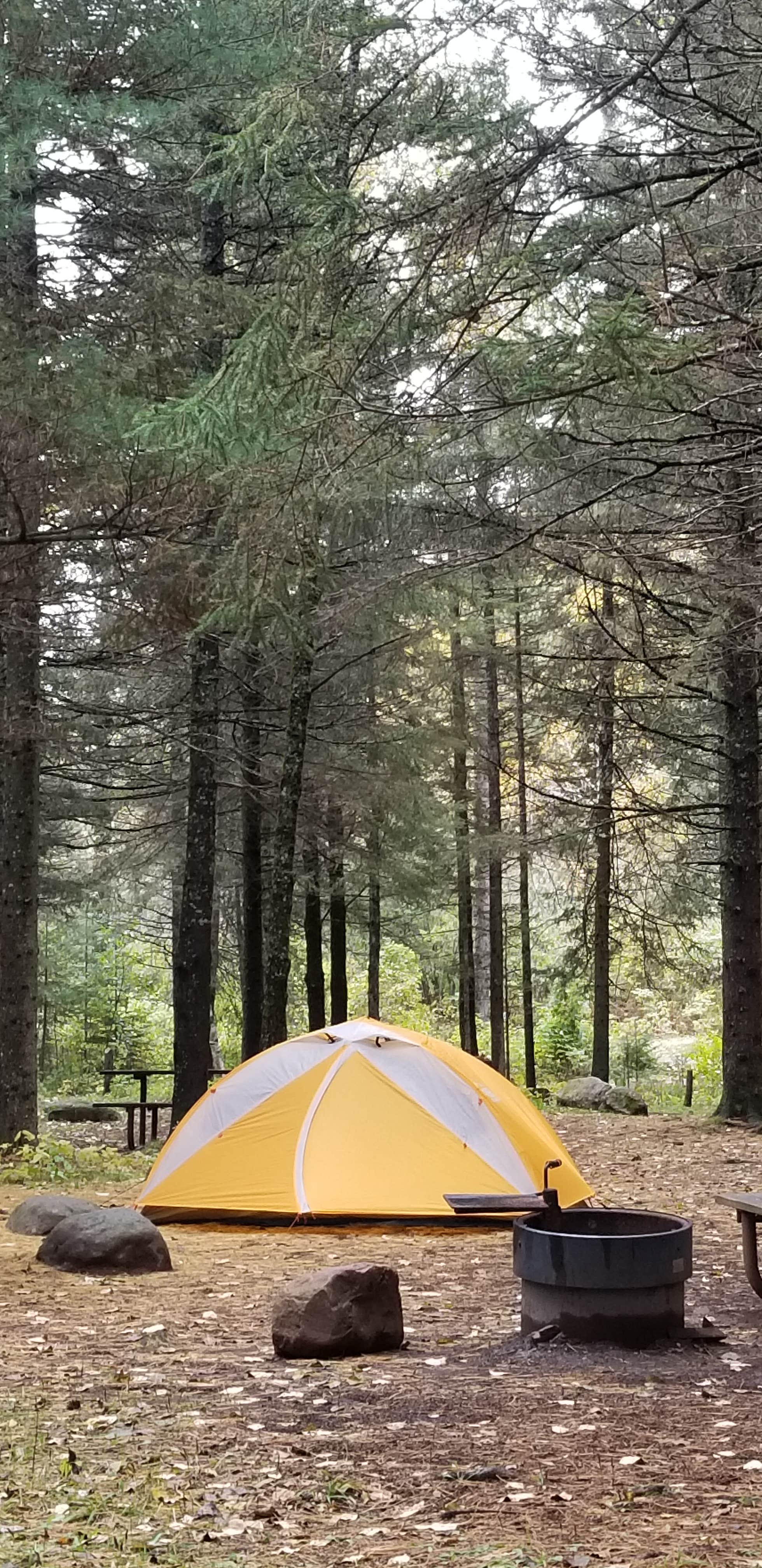 Nichole K.'s photo at Eckbeck Finland State Forest near Beaver Bay, MN