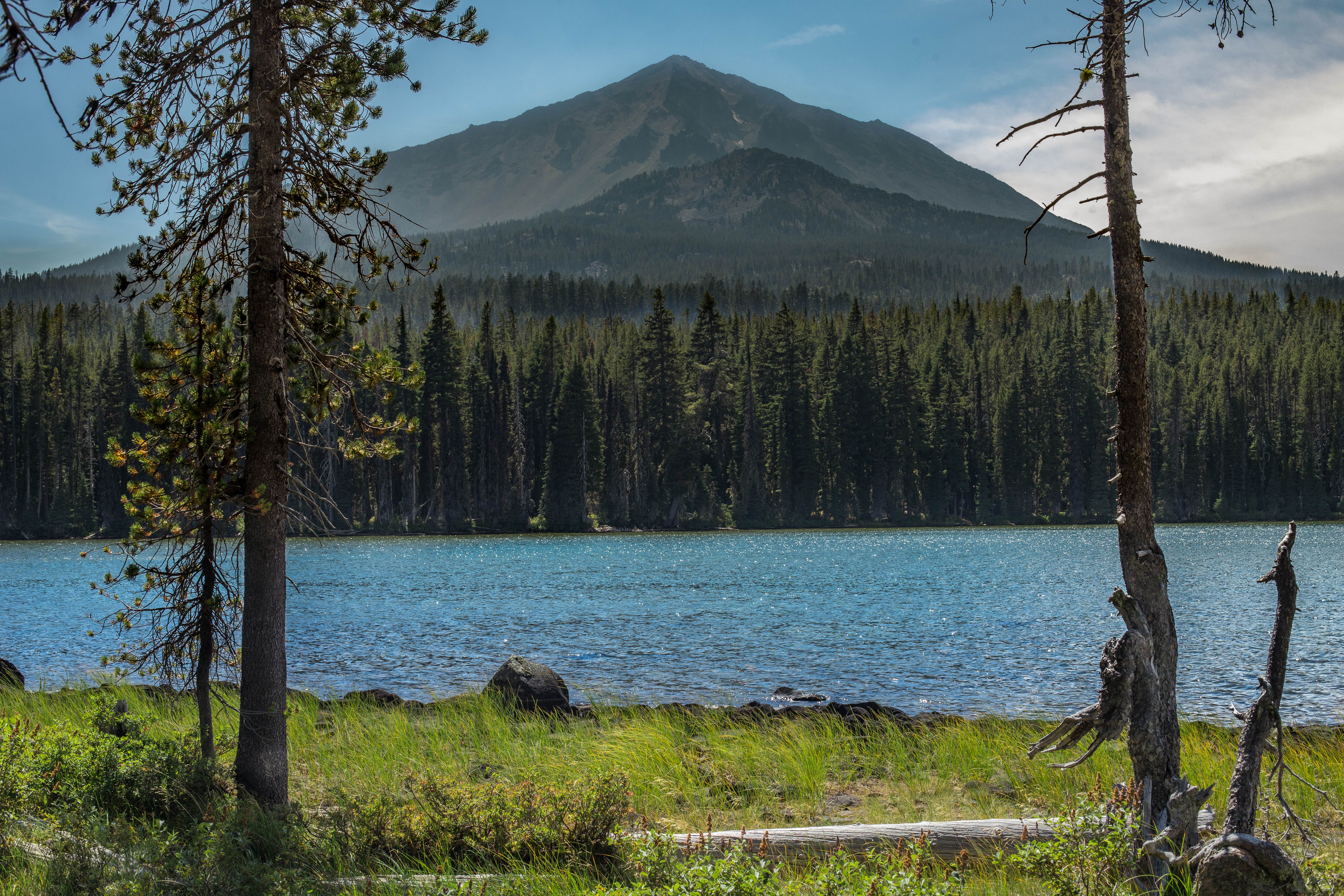 Camper submitted image from Fourmile Lake Campground - 3