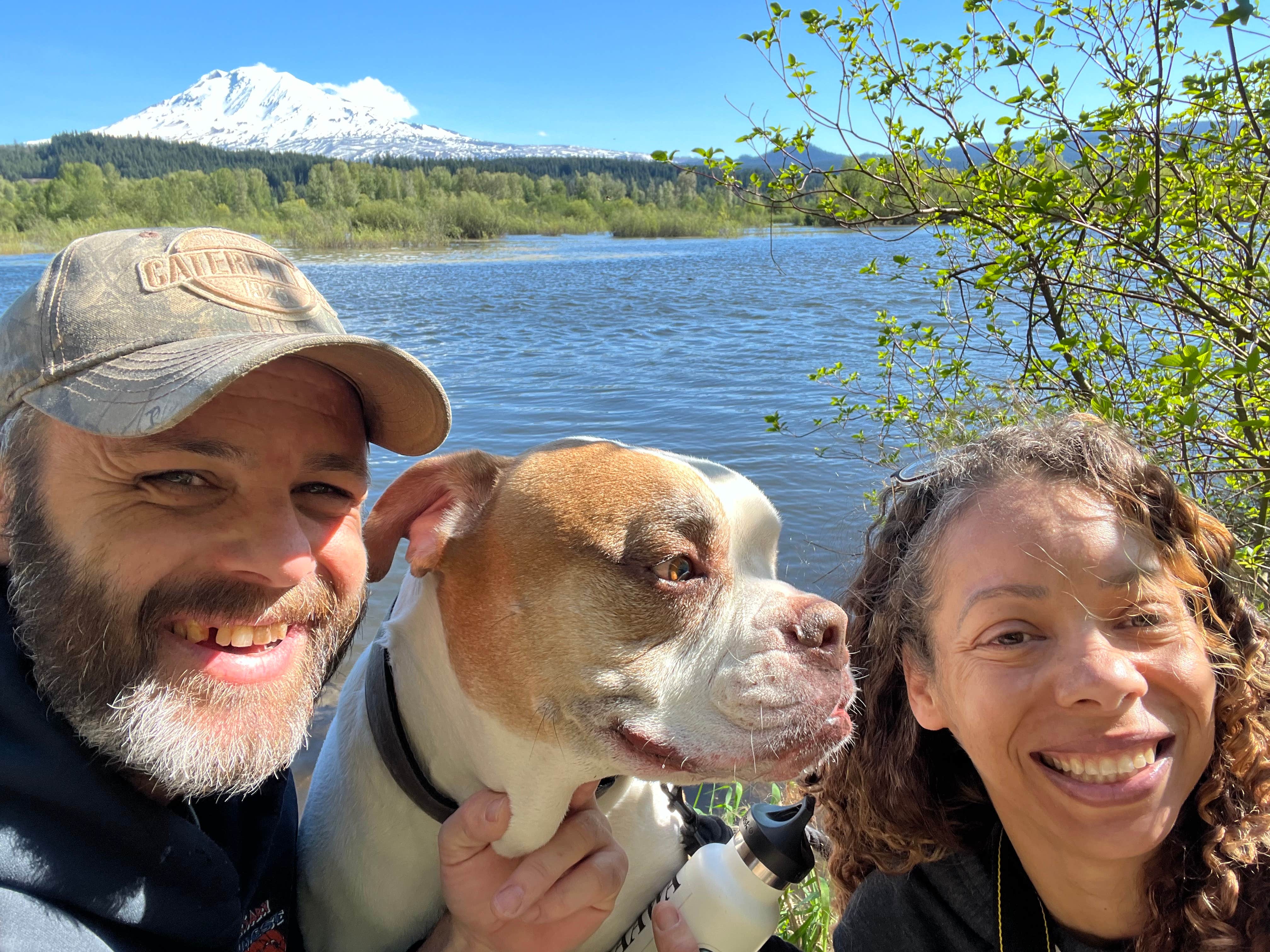 Michell C.'s photo of camping with pets at Elk Meadows RV Park near Gifford Pinchot National Forest