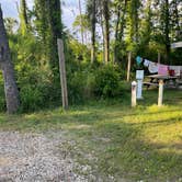 Review photo of Dr. Julian G. Bruce St. George Island State Park Campground by c S., May 14, 2023