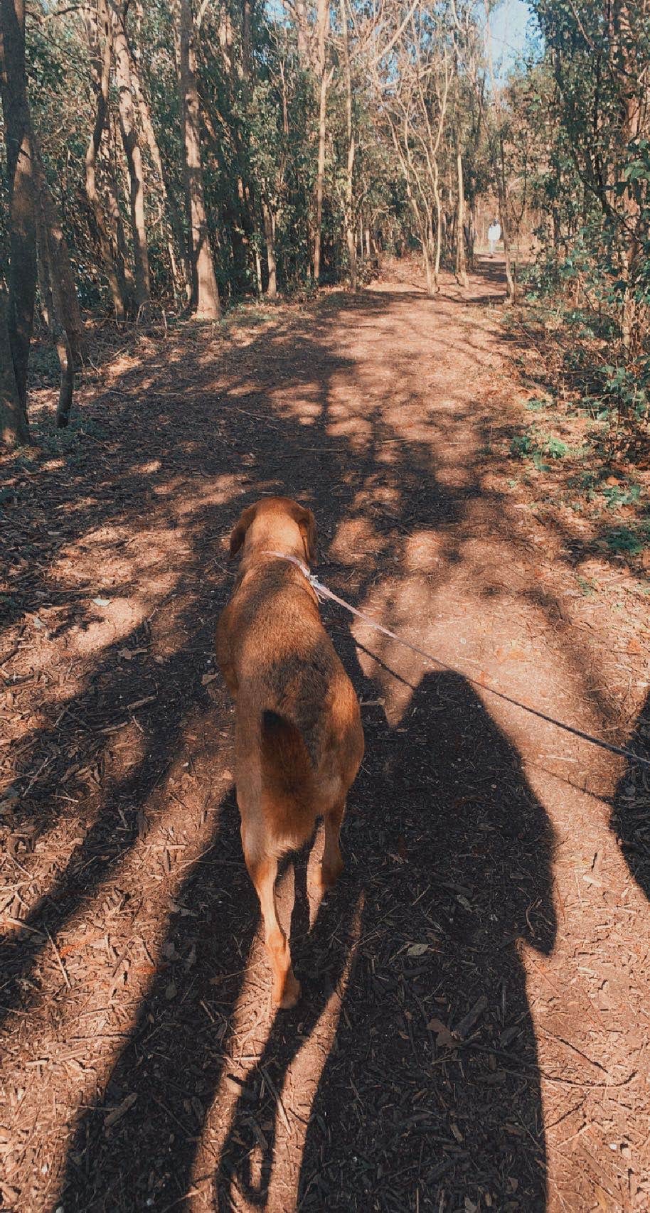 Camper-submitted photo at Wisner Blvd - Overnight Parking near Avondale, LA