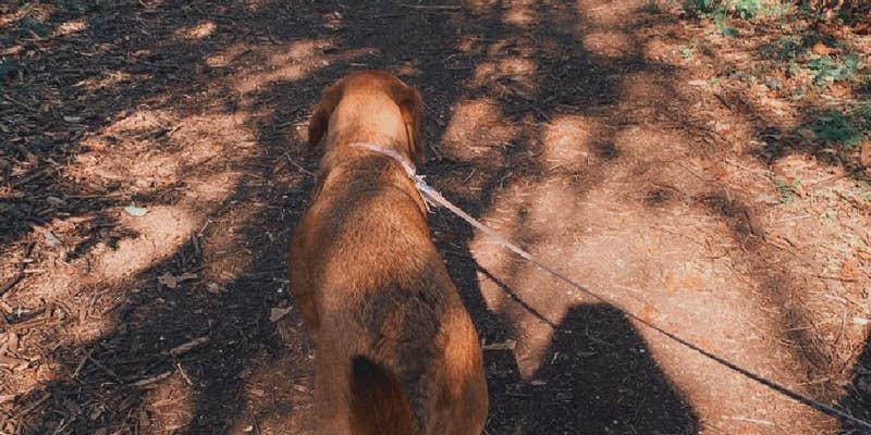 Camper submitted image from Wisner Blvd - Overnight Parking