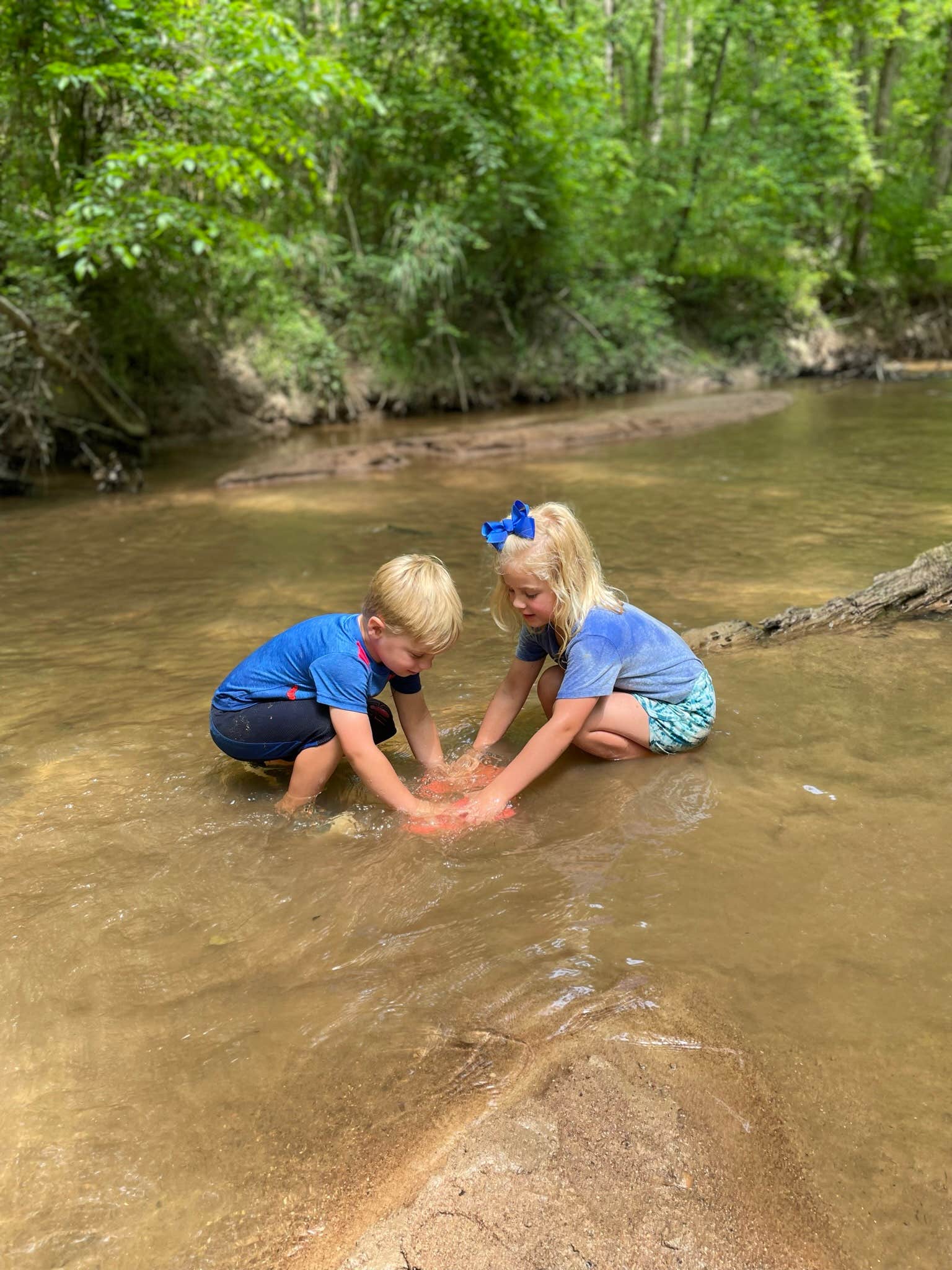 Camper submitted image from Bush Head Shoals Park - 4