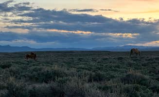 Casey H.'s photo of a dispersed camping area at Sand Wash Basin near Meeker, CO