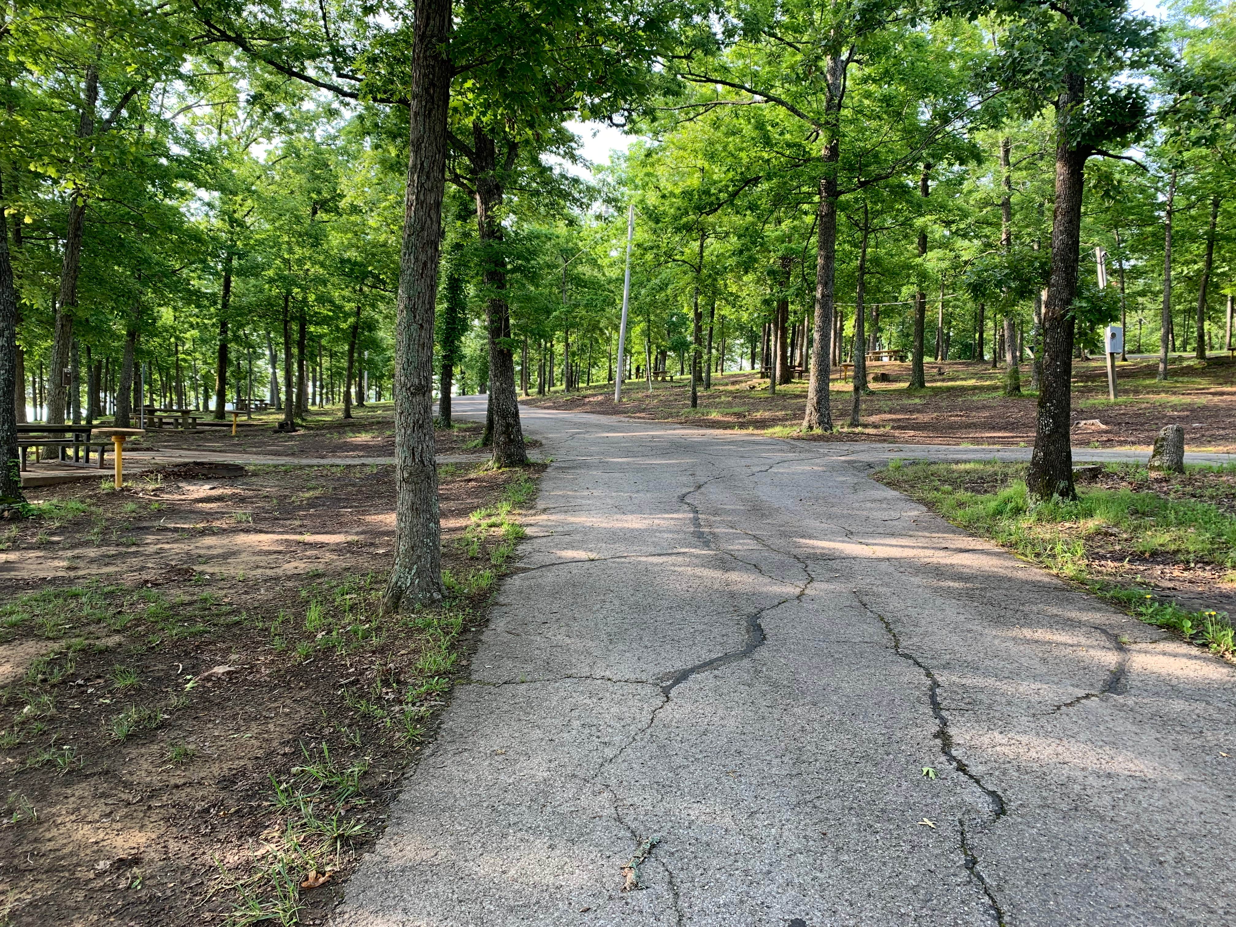 Camper-submitted photo at Point Return City Park near Lakeview, AR