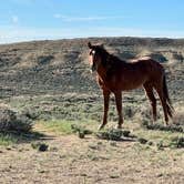 Review photo of Sand Wash Basin by Casey H., May 15, 2023