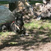 Review photo of Cole Creek Campground — Clear Lake State Park by Chris P., May 15, 2023