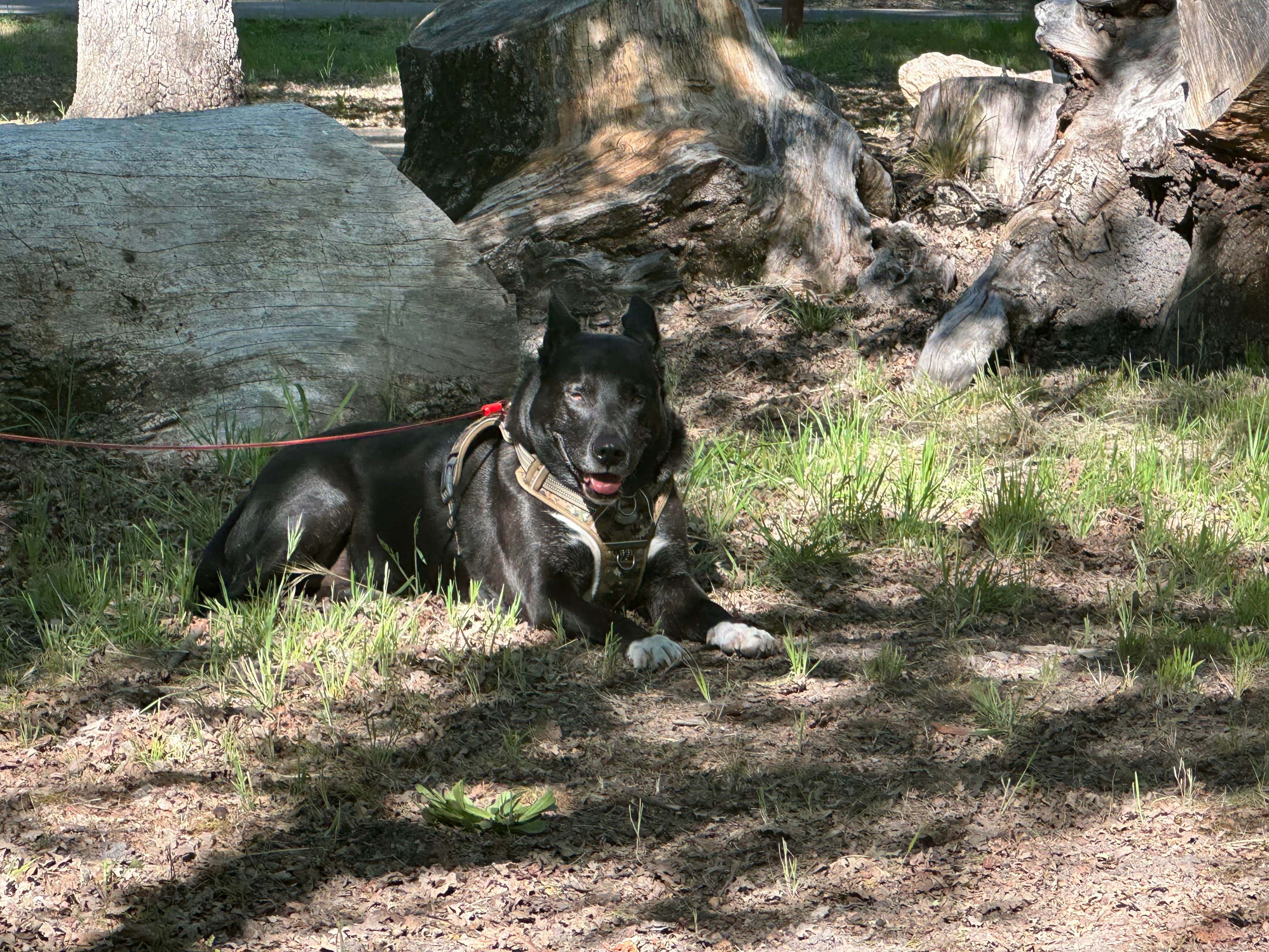 Camper submitted image from Cole Creek Campground — Clear Lake State Park - 2