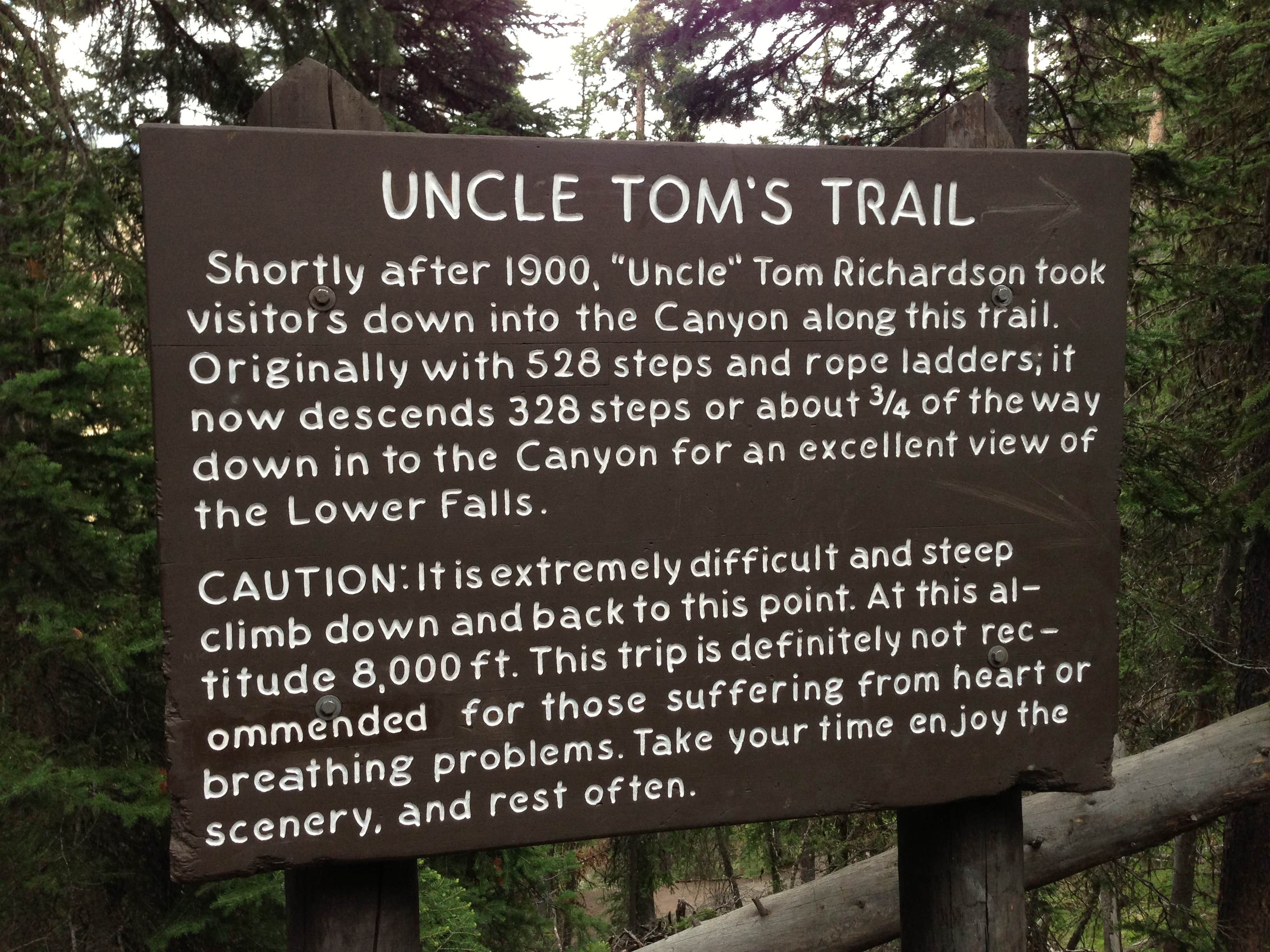 Camper submitted image from Canyon Campground — Yellowstone National Park - 5