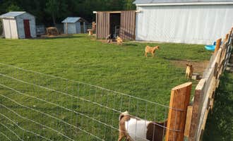 Camping near Sutton Camping & Cabin Rentals: 3b Goat Farms, Monterey, Tennessee