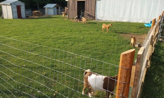 3b Goat Farms