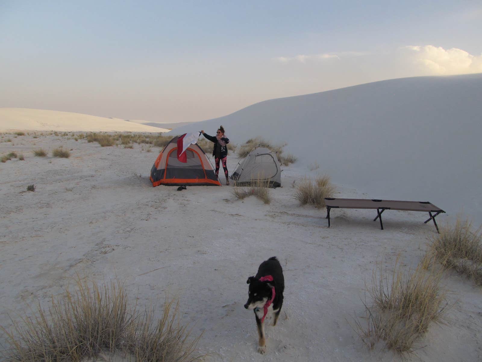 Ronnie M.'s photo of tent camping at Backcountry Primitive Sites — White Sands National Park near Timberon, NM