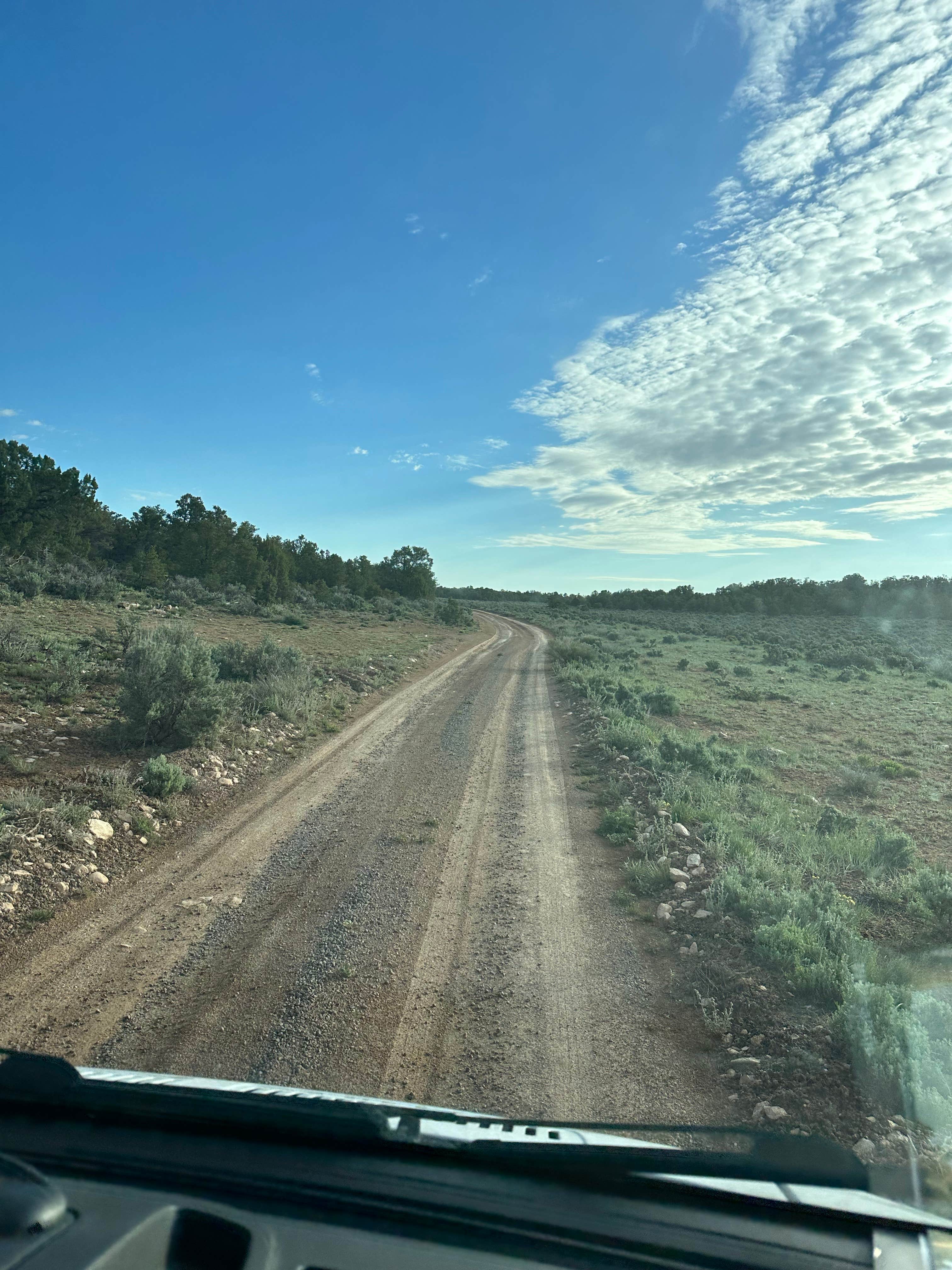 Benjamin A.'s photo of a dispersed camping area at Kaibab Forest Dispersed FR 682 near Cameron, AZ