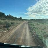 Review photo of Kaibab Forest Dispersed FR 682 by Benjamin A., May 15, 2023