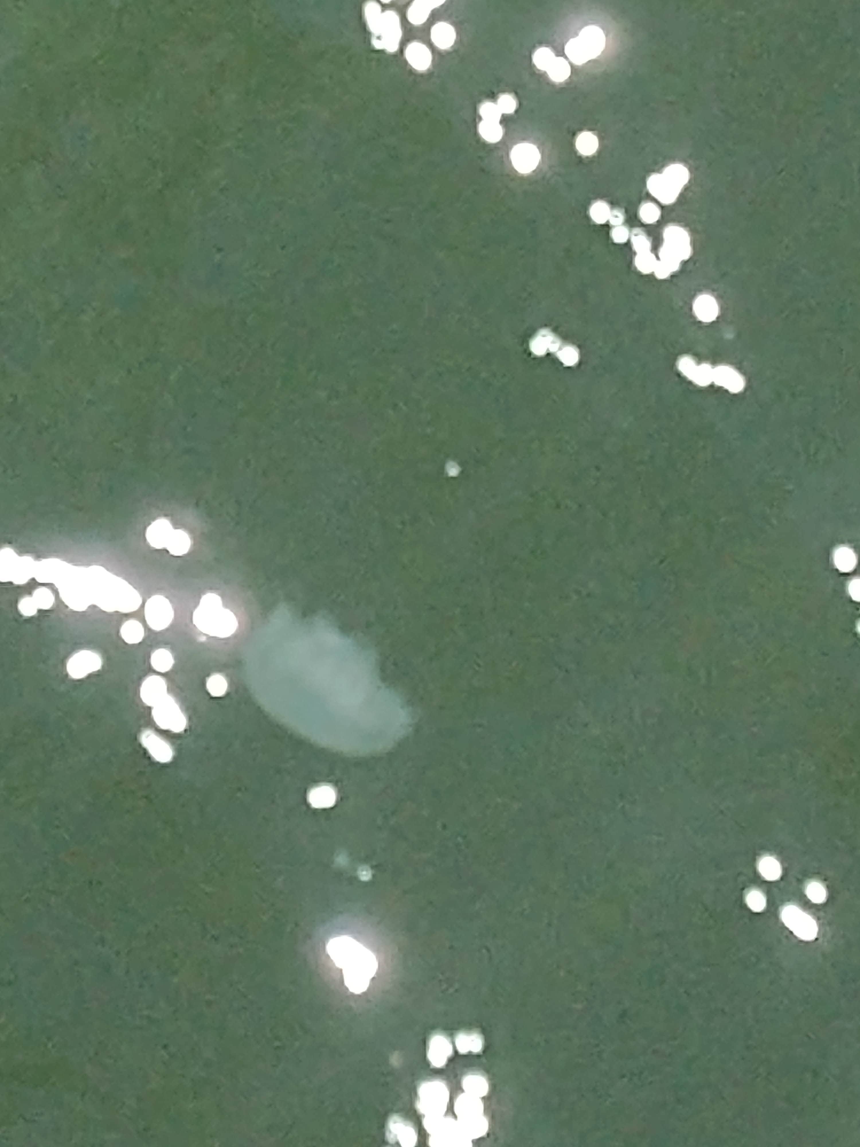 Camper-submitted photo at Big Oaks Campground near Millville, DE