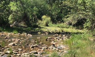 Beaver Creek Oasis
