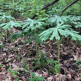 Review photo of Oxbow County Park by Tom , May 15, 2023