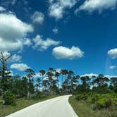 Review photo of Bastrop State Park Campground by charisa R., May 15, 2023