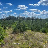 Review photo of Bastrop State Park Campground by charisa R., May 15, 2023