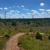 Review photo of Bastrop State Park Campground by charisa R., May 15, 2023