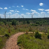 Review photo of Bastrop State Park Campground by charisa R., May 15, 2023