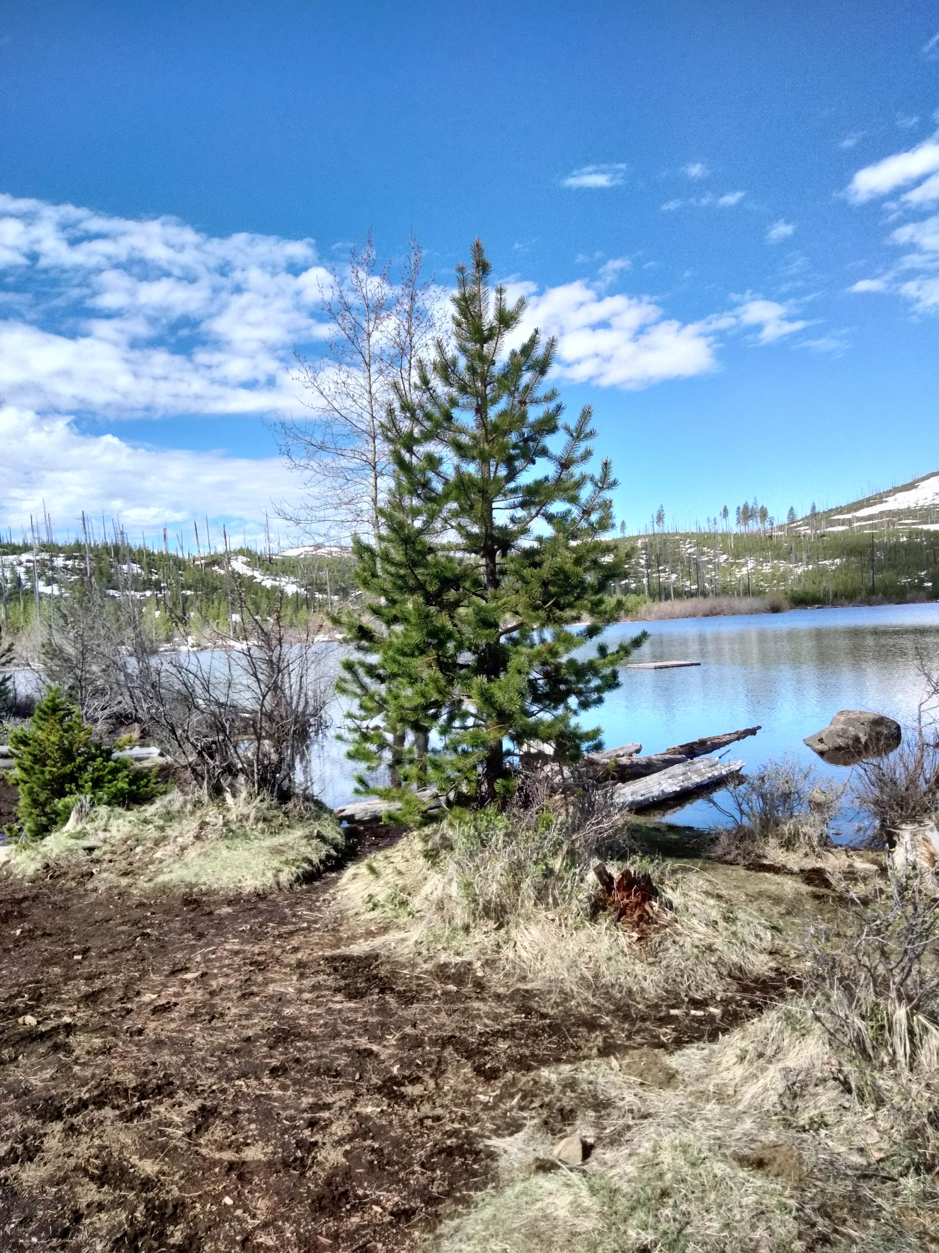 Camper-submitted photo at Round Lake near Cloverdale, OR
